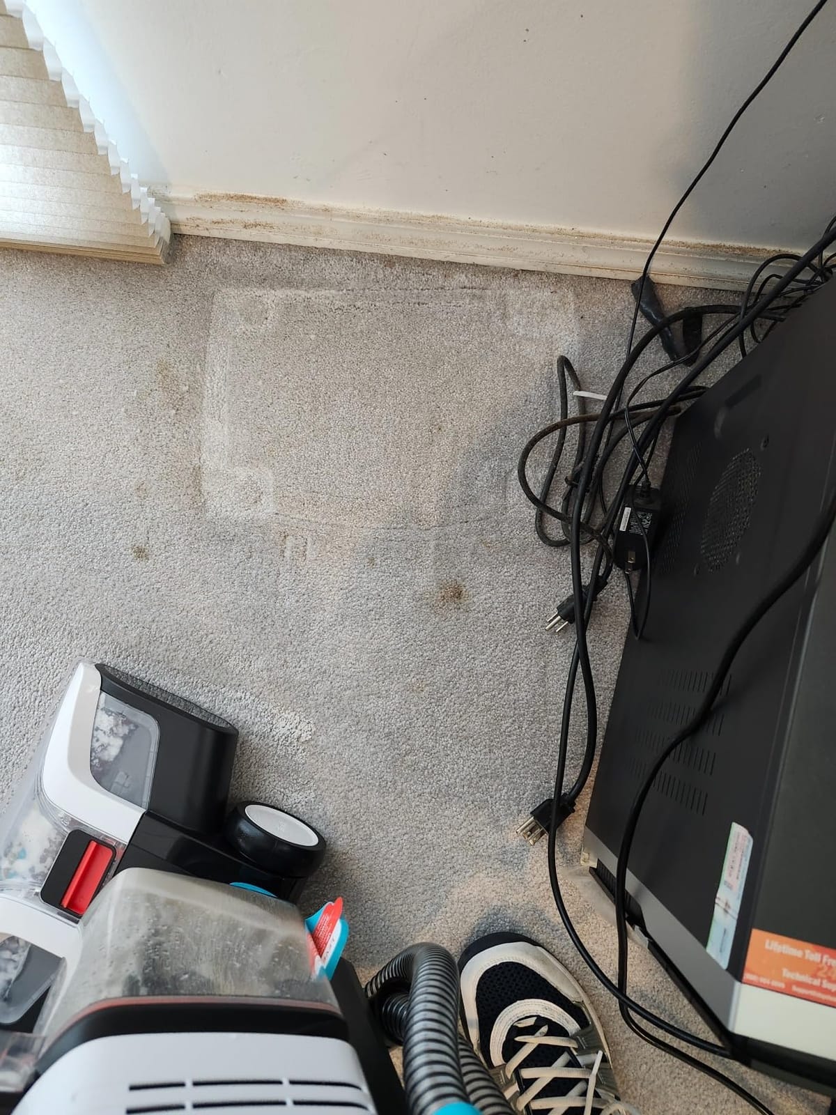 Shark CarpetXpert StainStriker Carpet & Upholstery Cleaner, 3 Tools, EX201 customer photo 2
