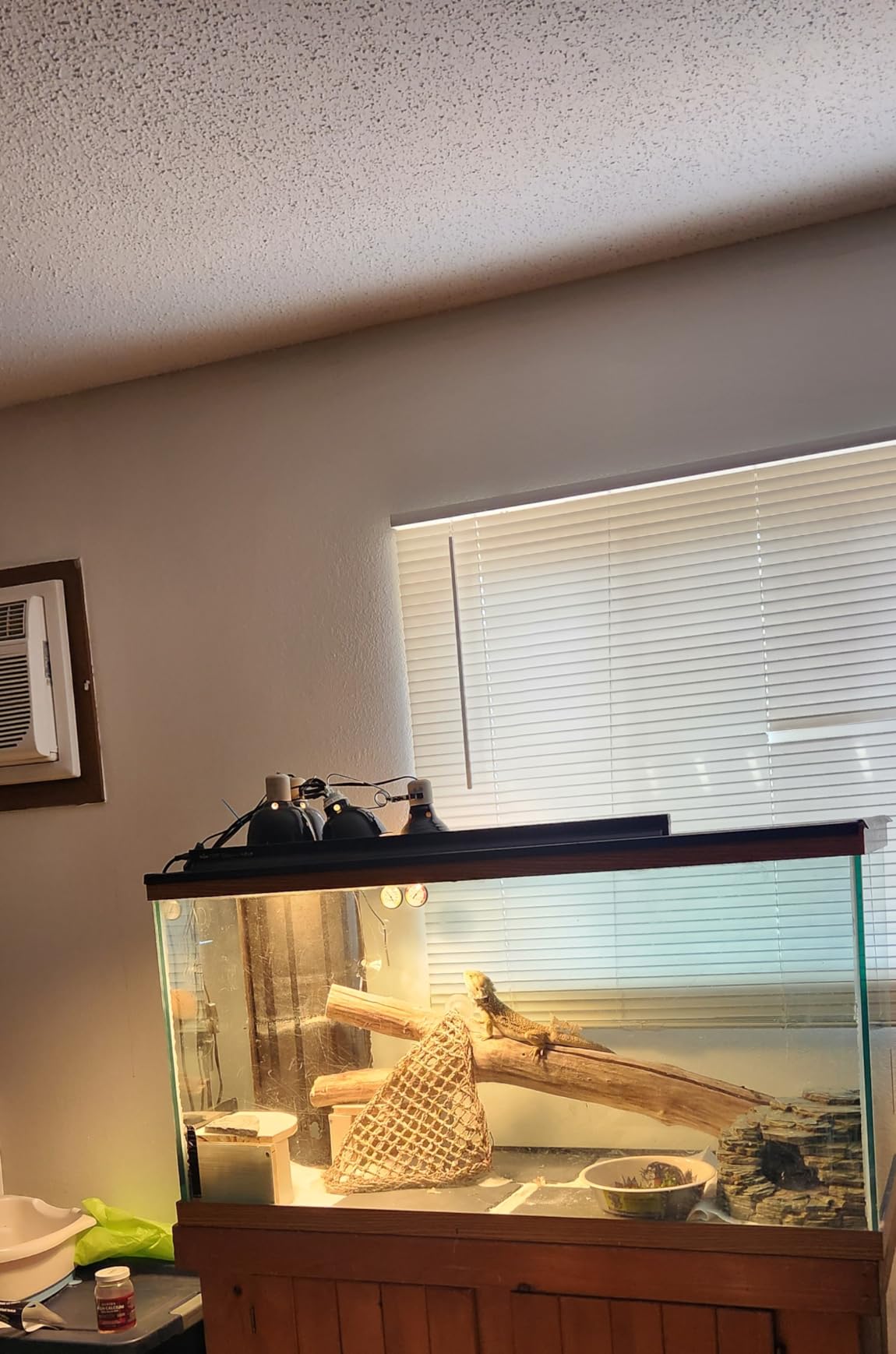 T5 UVB Reptile Light Kit, 39W T5 Reptile Light Fixture with UVB 10.0 Fluorescent Bulb, 35 in Terrarium Hood Light Fixture, Ideal for Tropical and Desert Habitats Reptile customer photo 1