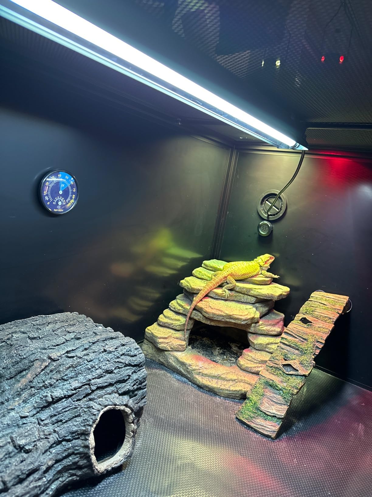 T5 UVB Reptile Light Kit, 39W T5 Reptile Light Fixture with UVB 10.0 Fluorescent Bulb, 35 in Terrarium Hood Light Fixture, Ideal for Tropical and Desert Habitats Reptile customer photo 2