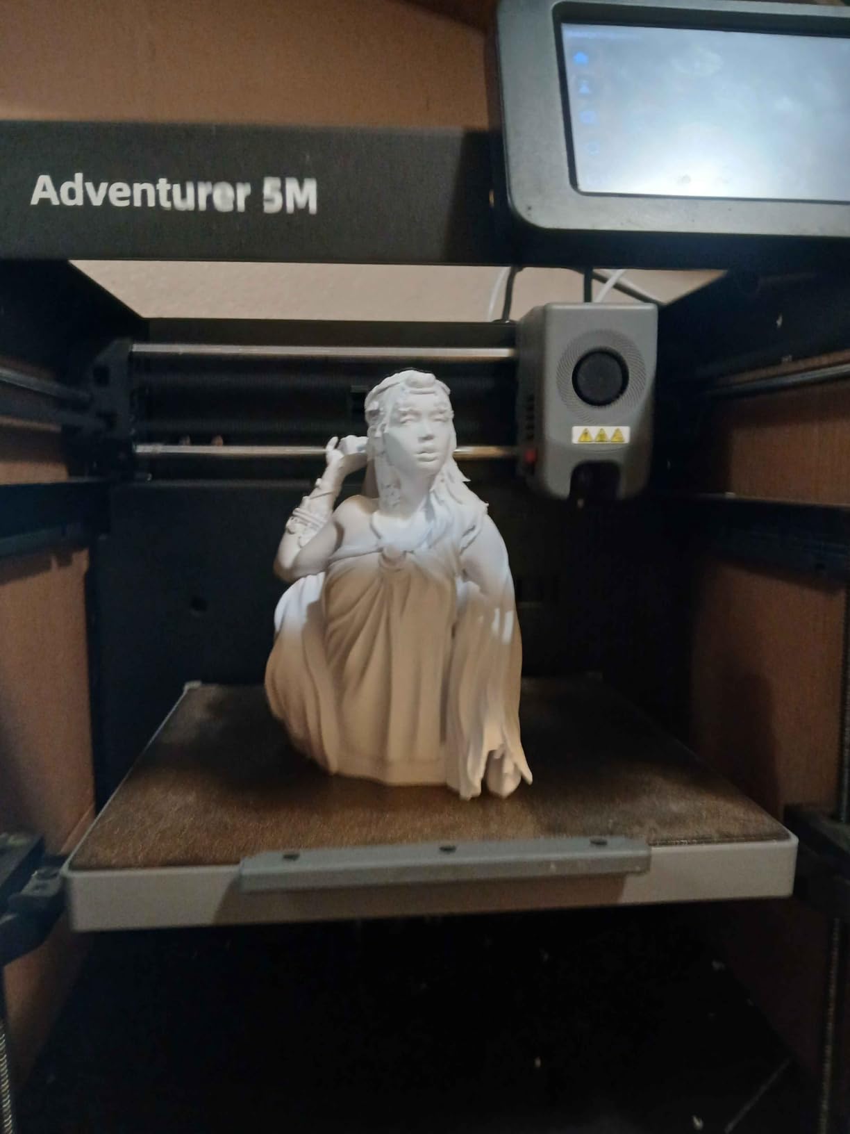 FLASHFORGE Adventurer 5M 3D Printer with Fully Auto Leveling, Max 600mm/s High Speed Printing, 280°C Direct Extruder with 3S Detachable Nozzle, CoreXY All Metal Structure, Print Size 220x220x220mm customer photo 1