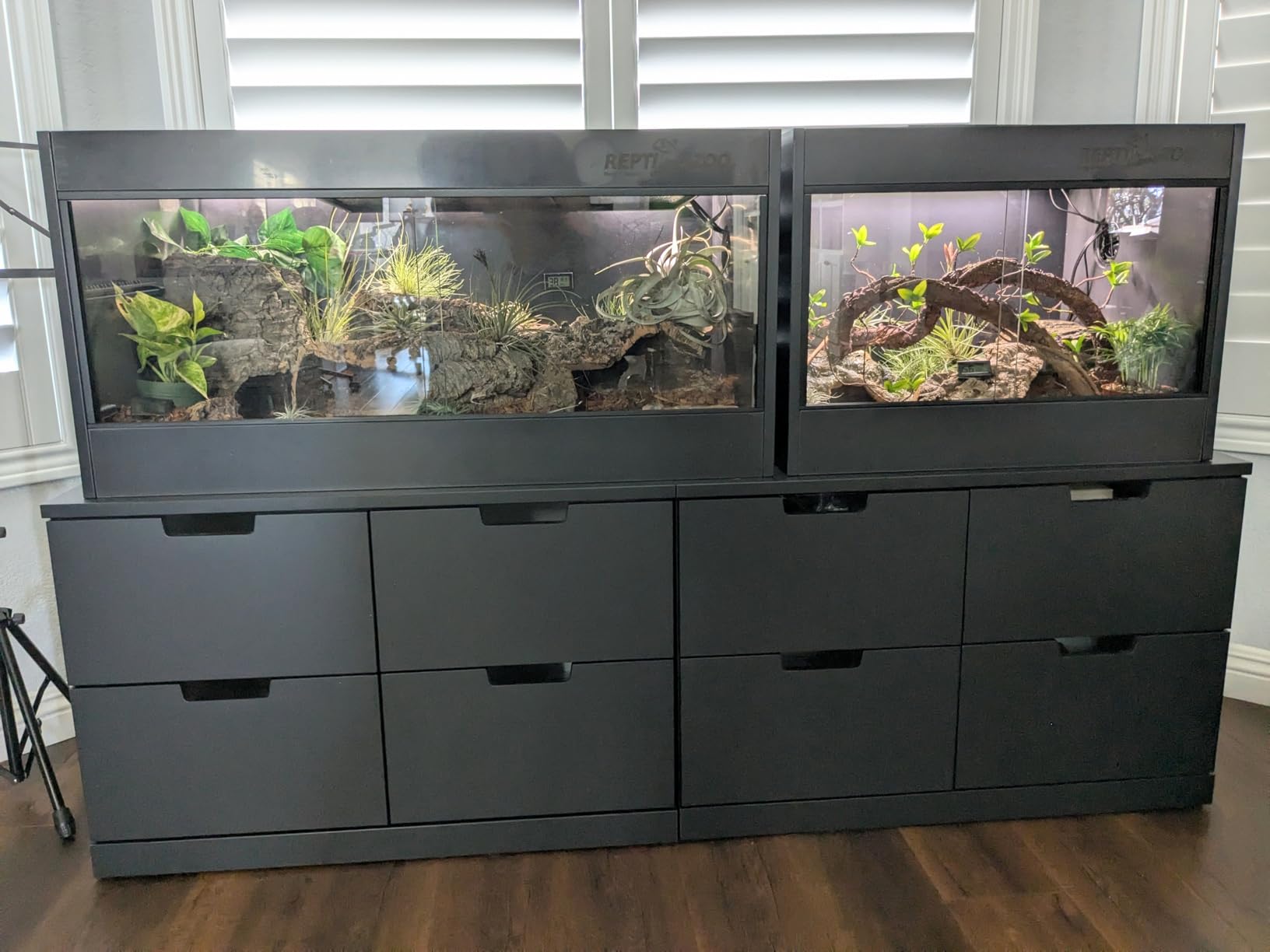 REPTI ZOO 50 Gallon PVC Reptile Enclosure, 36x18x18 inch Reptile Tank for Ball Python Bearded Dragon Snake Gecko, Reptile Terrarium Lounge Habitat with Glass Sliding Door & Top Screen Ventilation customer photo 1