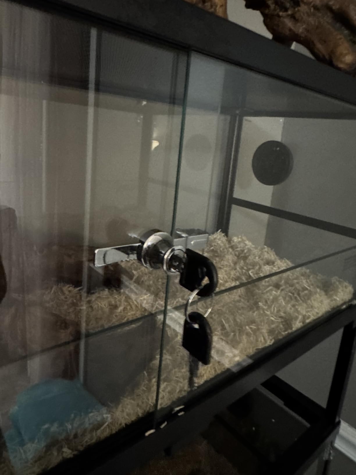Double Stacked Reptile Tank, 30