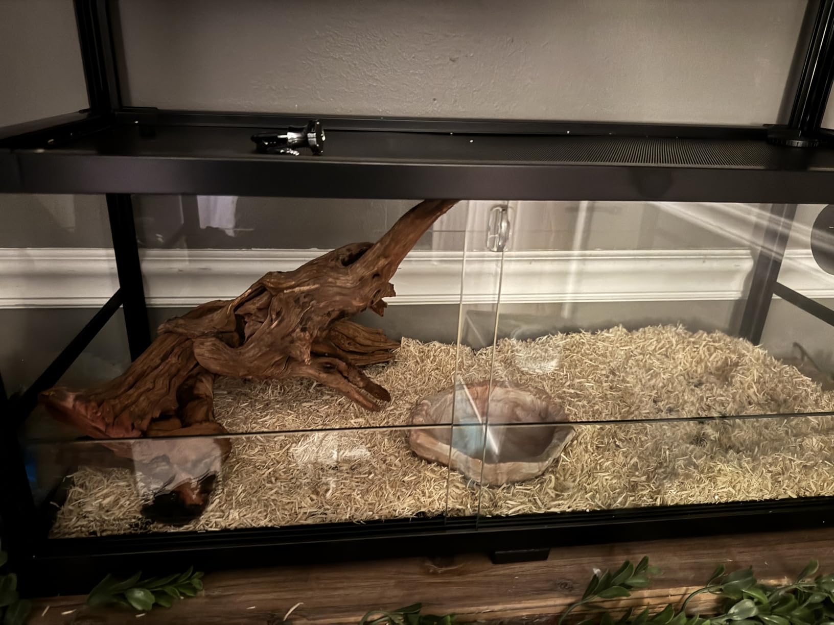 Double Stacked Reptile Tank, 30
