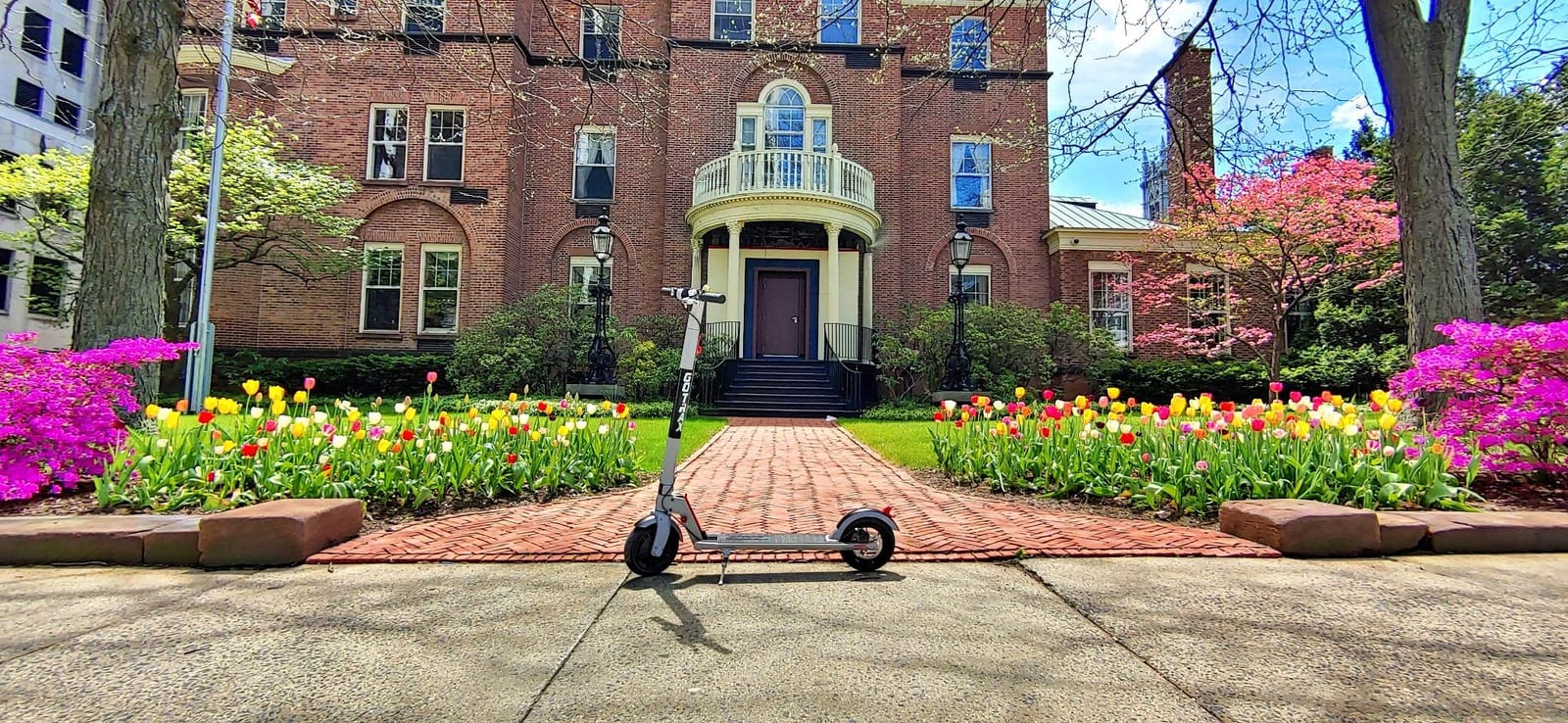 Gotrax GXL V2 Electric Scooter for Adult,8.5