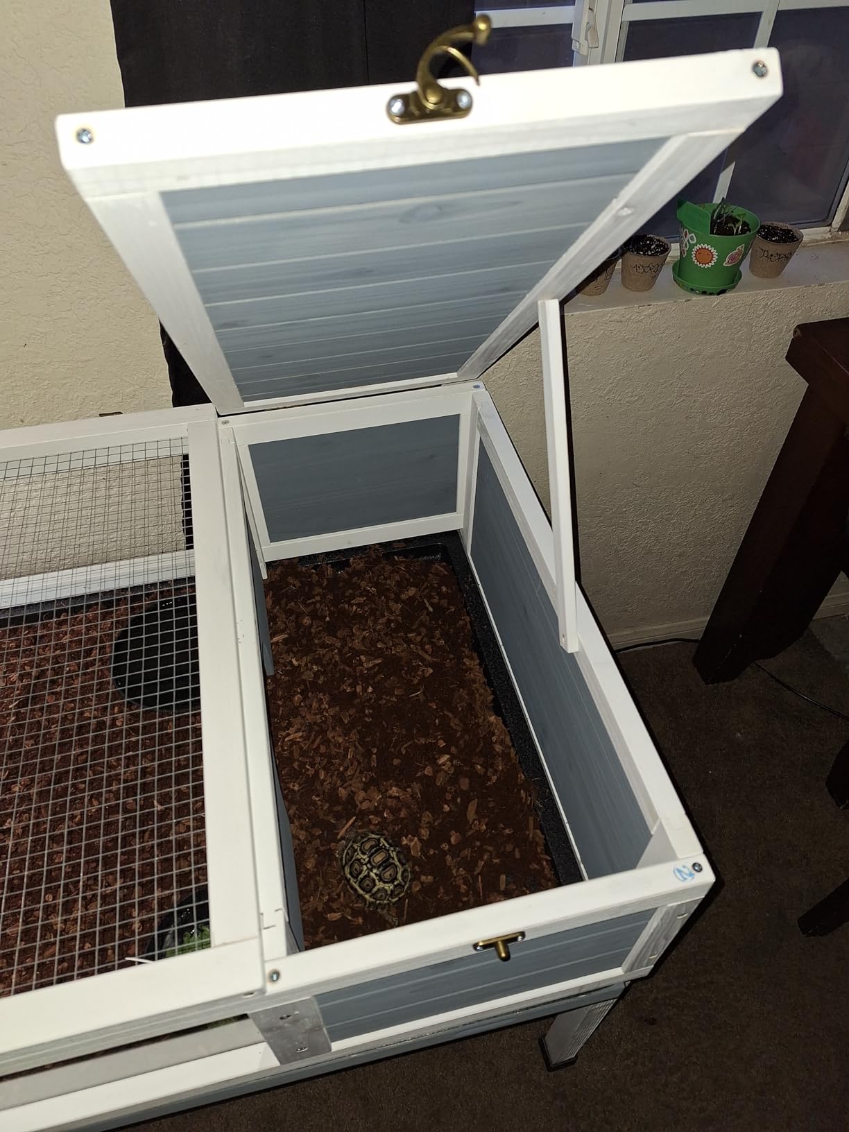 Tortoise Enclosure Turtle Cage Indoor Reptile for Small Animals Lizards customer photo 2