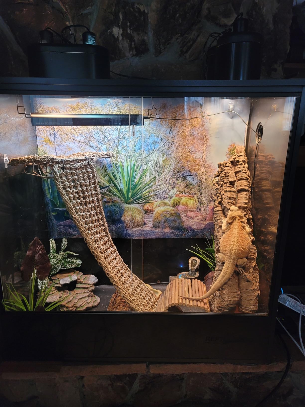 REPTI ZOO 30 Gallon PVC Tall Reptile Tank, 18x18x24 Reptile Terrarium for Frog Lizard Gecko Chameleon Snake, Tropical Rainforest Habitat Enclosure with Sliding Door & Top Screen Ventilation customer photo 2