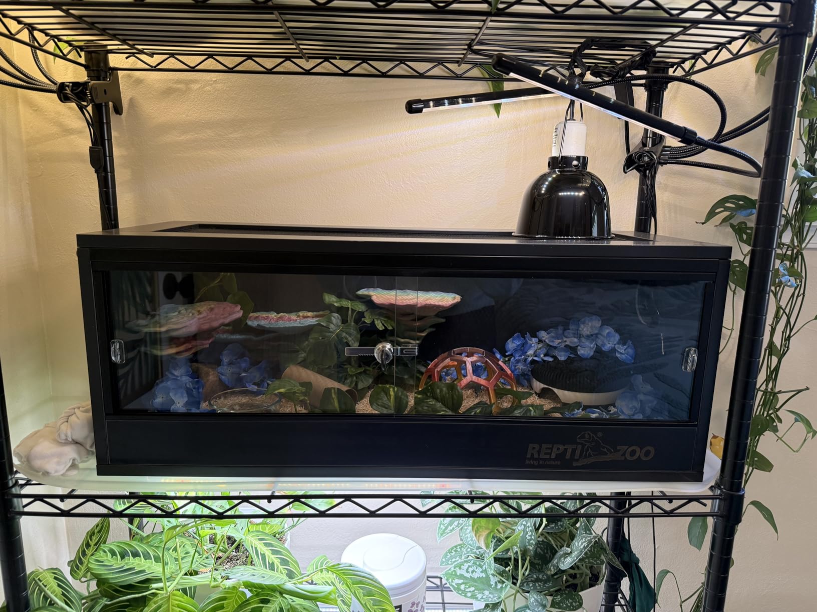 REPTI ZOO 20 Gallon PVC Reptile Terrarium, 24x18x12 inch Reptile Tank for Crested Gecko Leopard Gecko Snake Turtle Hermit Crab, Thermal Insulation Moisturizing customer photo 2