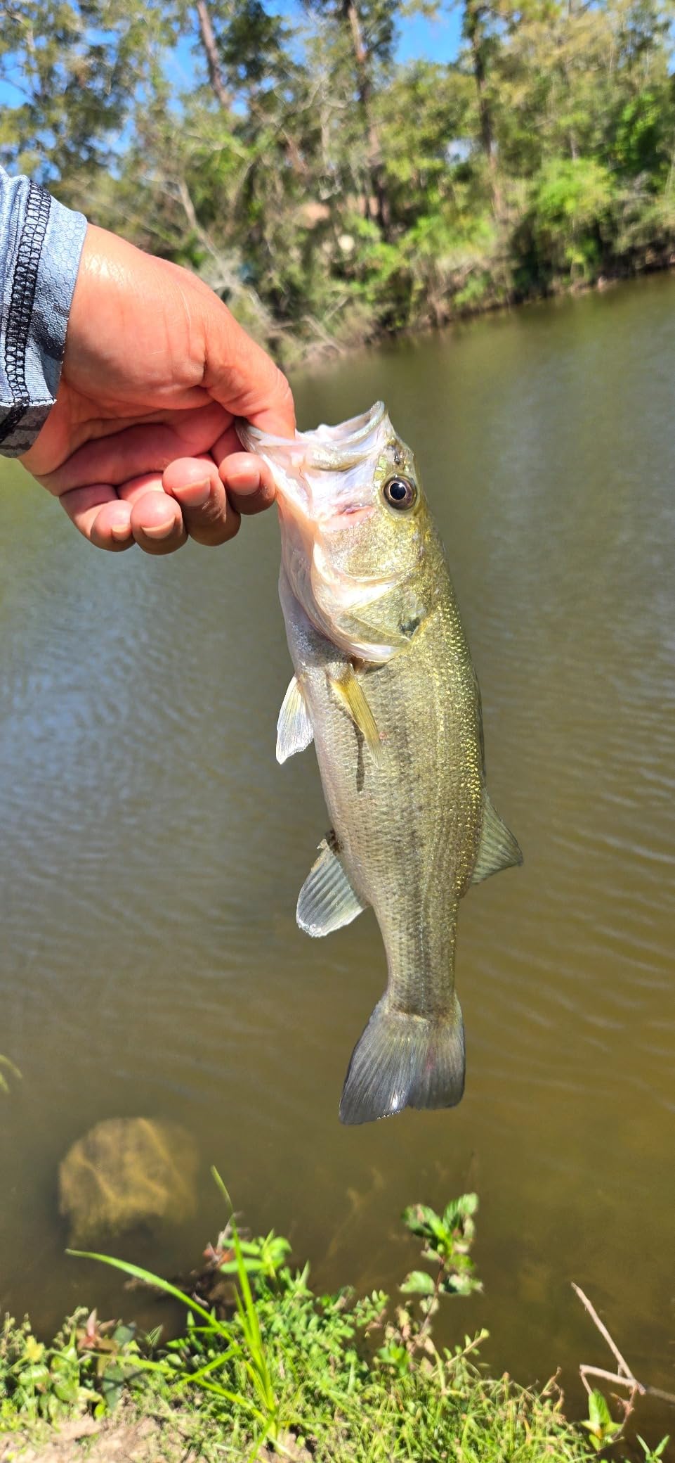Ugly Stik Carbon Crappie Spinning Fishing Rod customer photo 1