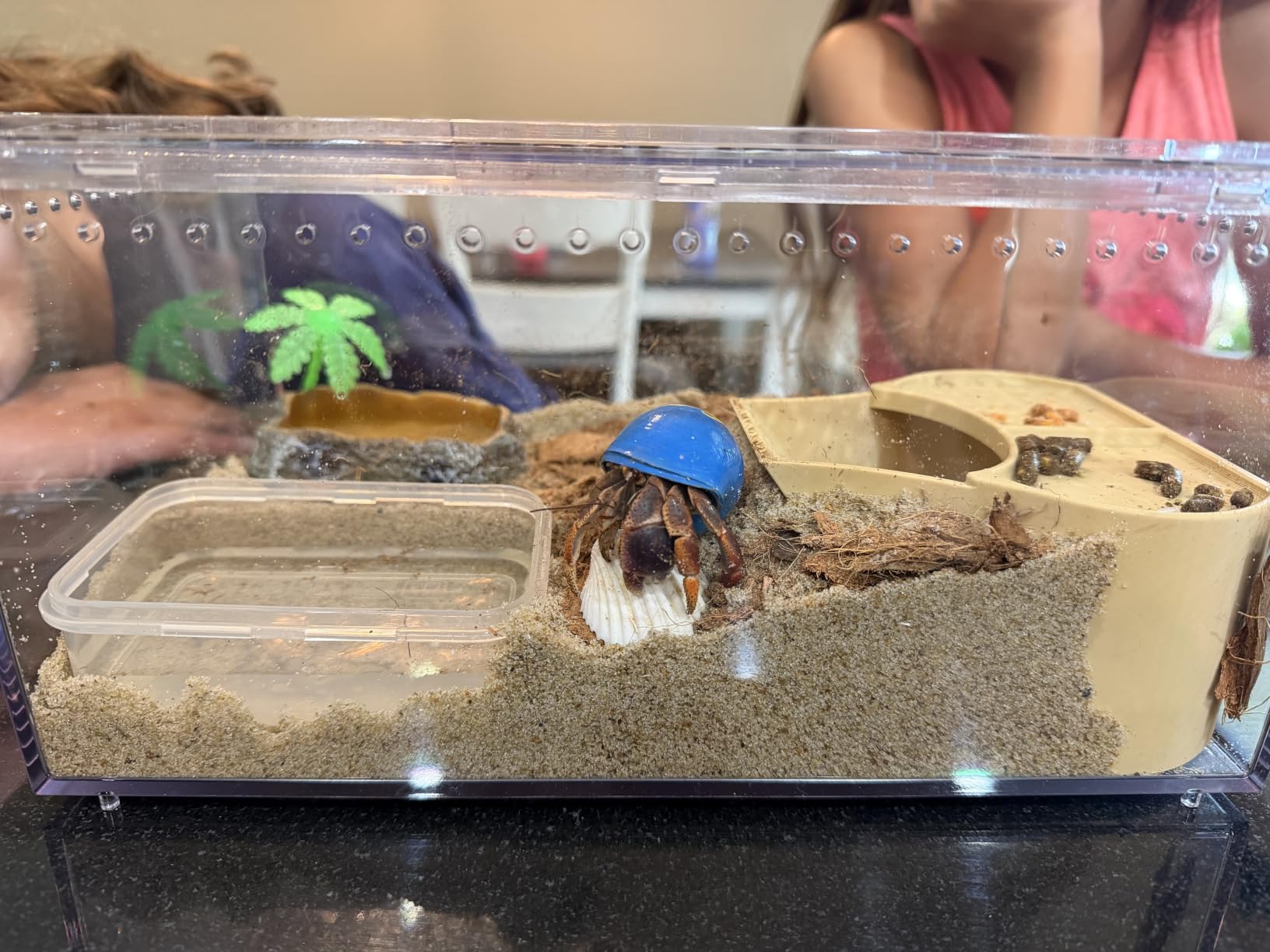 【No Assembly】 Reptile Tank Enclosure with Magnetic Button.12