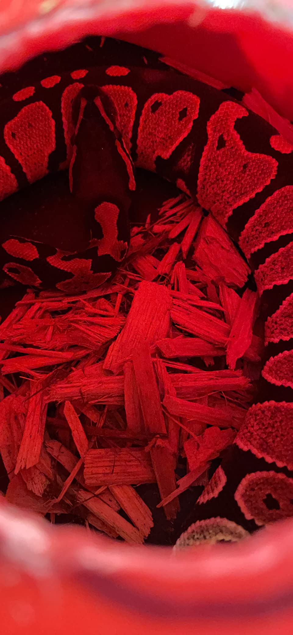 PVC Reptile Enclosure 48