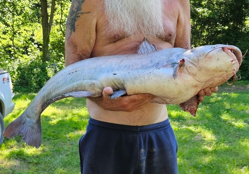 Monster Catfish Casting Rod, 7' MH Glow-in-Dark 1-Piece customer photo 2
