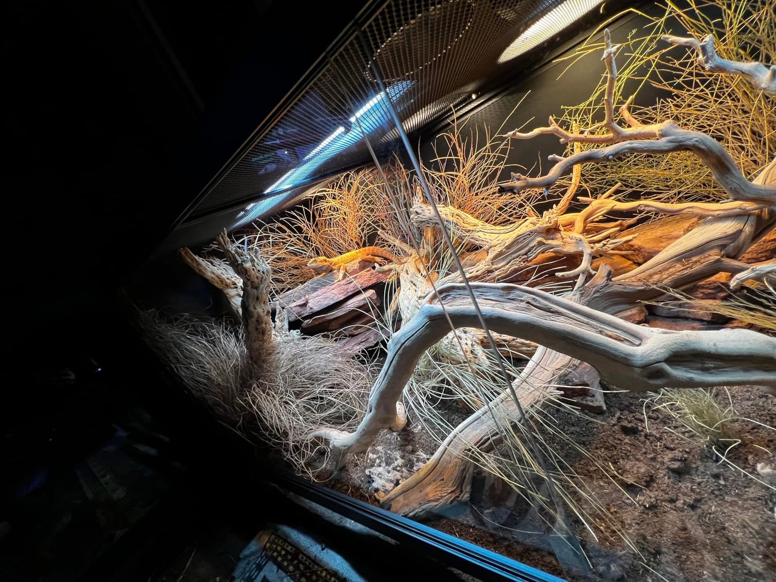 Reptile Habitats 5x2x2 (150 Gallon) Reptile Enclosure V3, Features PVC Panels, Glass Doors, Lightweight, Easy to Assemble, Heavy Duty Screen, Aluminum Frame customer photo 2