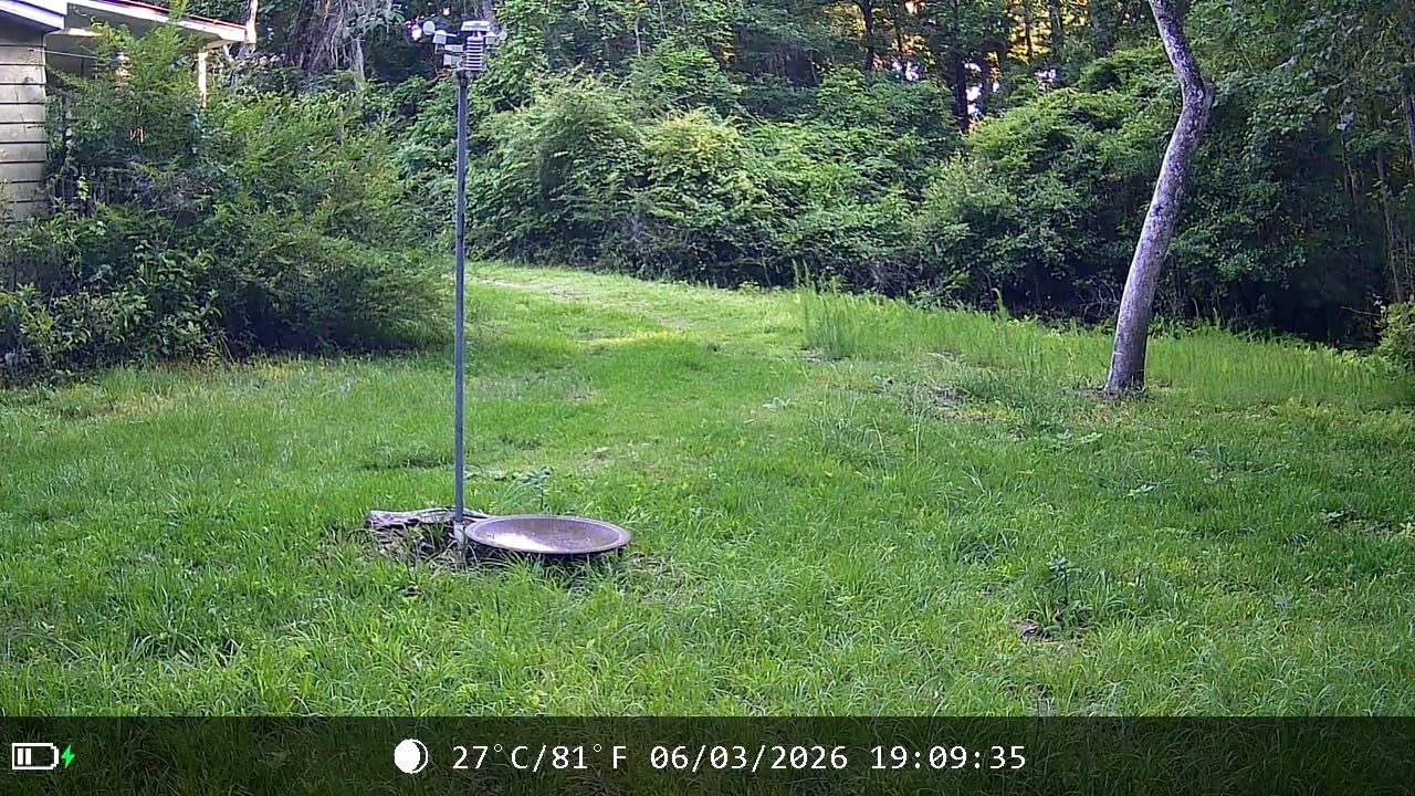 MAXDONE Solar Trail Camera WiFi Bluetooth, 4K 64MP Night Vision Game Camera customer photo 1
