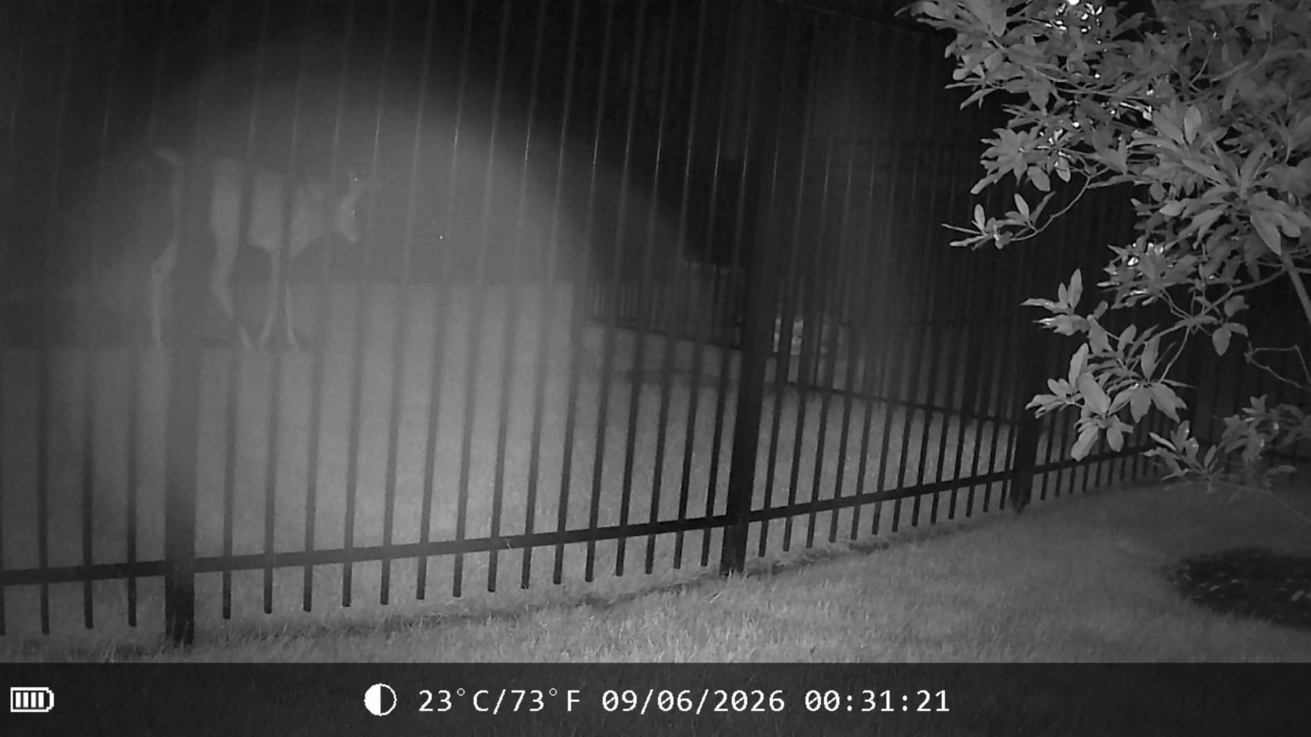 MAXDONE Solar Trail Camera WiFi Bluetooth, 4K 64MP Night Vision Game Camera customer photo 2