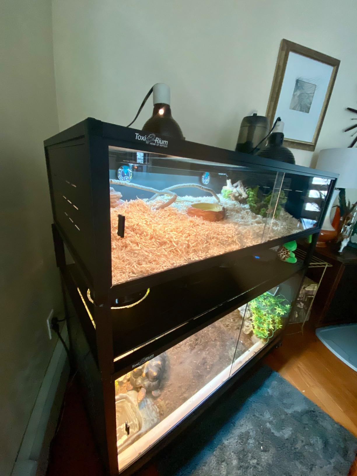 Reptile Tank 44''x20''x20'' ToxiRium Large PVC Reptile Enclosure 76 Gallons for Bearded Dragon Gecko Lizard Snake, Wide Lounge Vivarium Area with Sliding Doors Lock customer photo 2