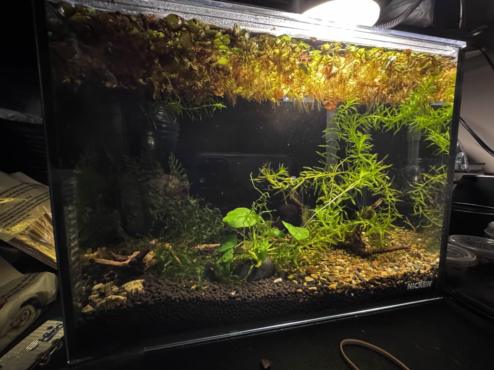 NICREW 2.5 Gallon Nano Nature Aquarium Kit Betta Fish Tank, Complete, Black customer photo 1