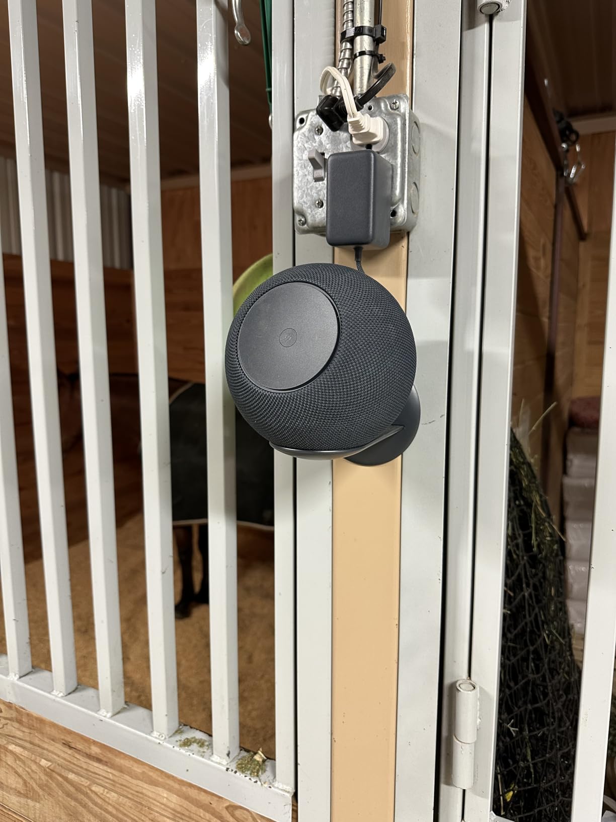 Amazon Echo Studio (newest model), Immersive spatial audio and Dolby Atmos, Designed for Alexa+, Graphite customer photo 2