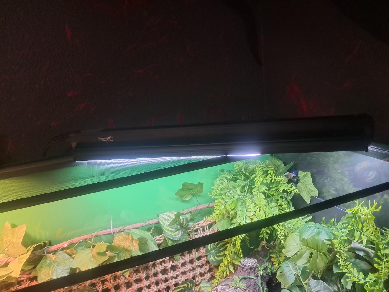T5 UVB Reptile Light Fixture HO UVB Bulb Lighting Combo Kit, 10.0 UVB Light for Reptiles Terrarium Hood with 39W Reptile Light Bar UVA UVB Desert Lamp for Bearded Dragon Turtle Tank, 34Inch customer photo 2