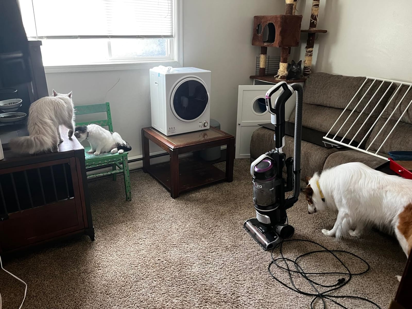 Panda Compact Dryer 13.2 lb Load Volume 1500W 120V, 3.5 Cu.Ft. customer photo 1