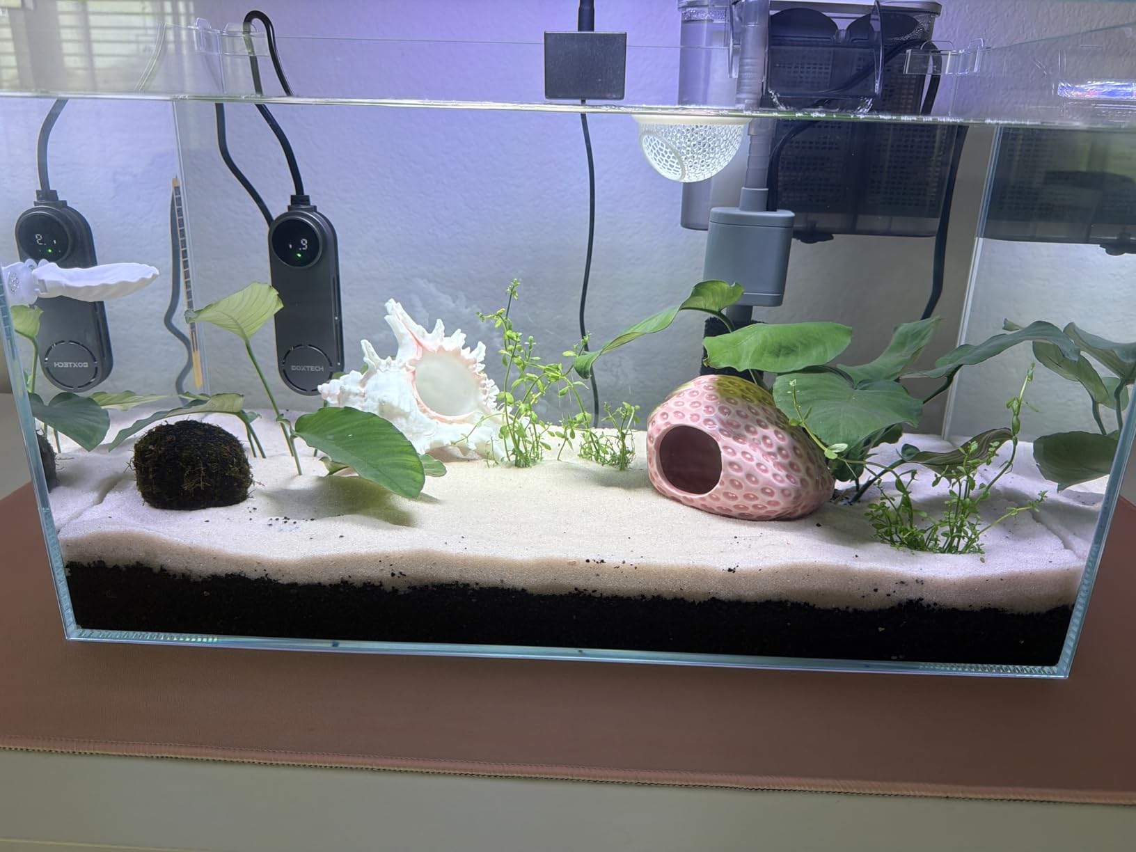 Vimvins 10 Gallon Glass Small Fish Tank with Filter Light and Lid, Aquarium Starter Kit customer photo 1