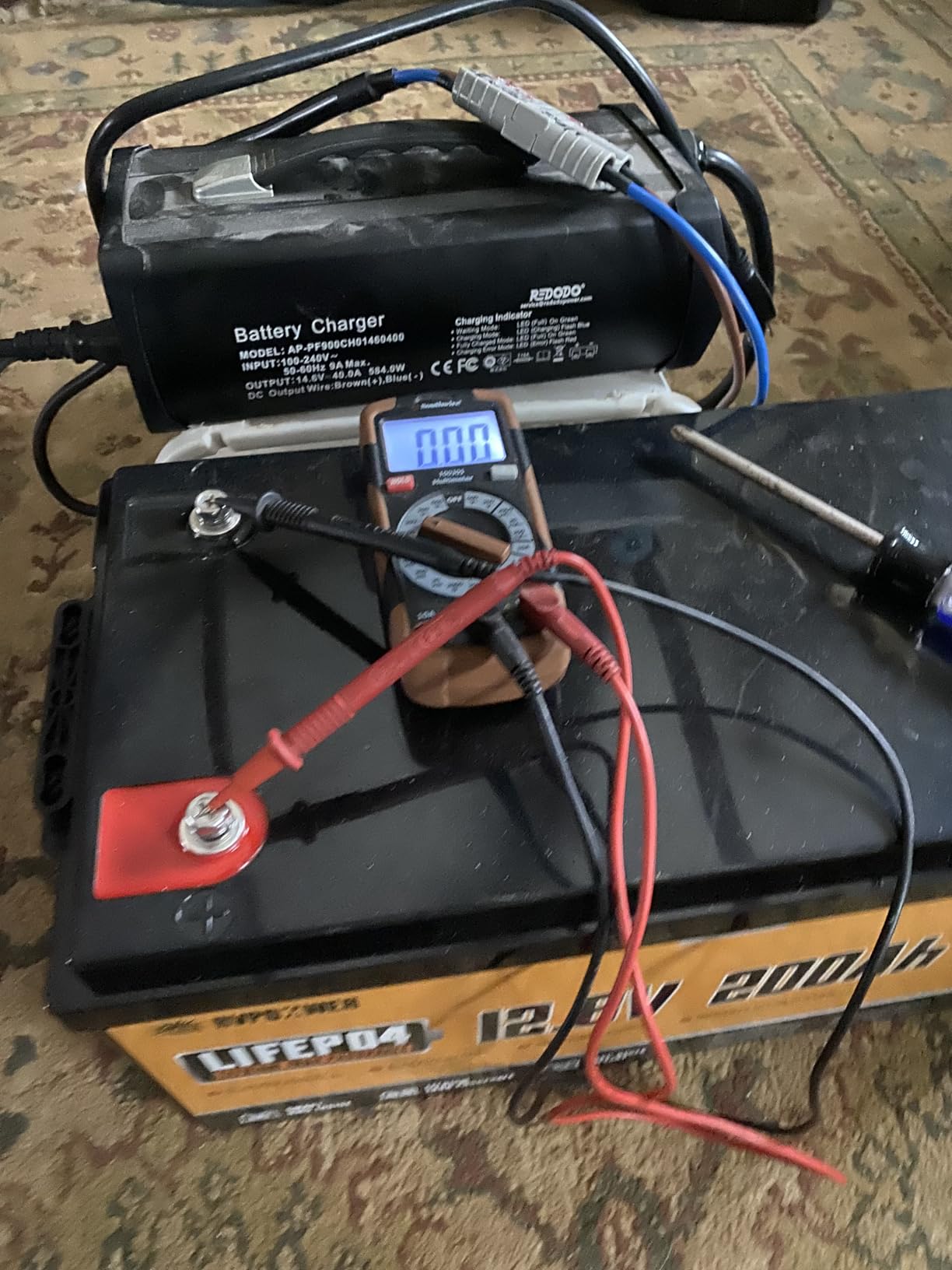 12V 100Ah LiFePO4 Lithium Battery Group 31 with Built-in 100A BMS customer photo 1