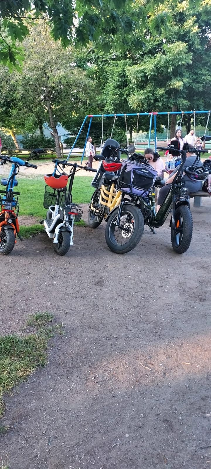 FREESKY Dual Motor Electric Bike for Adults 26
