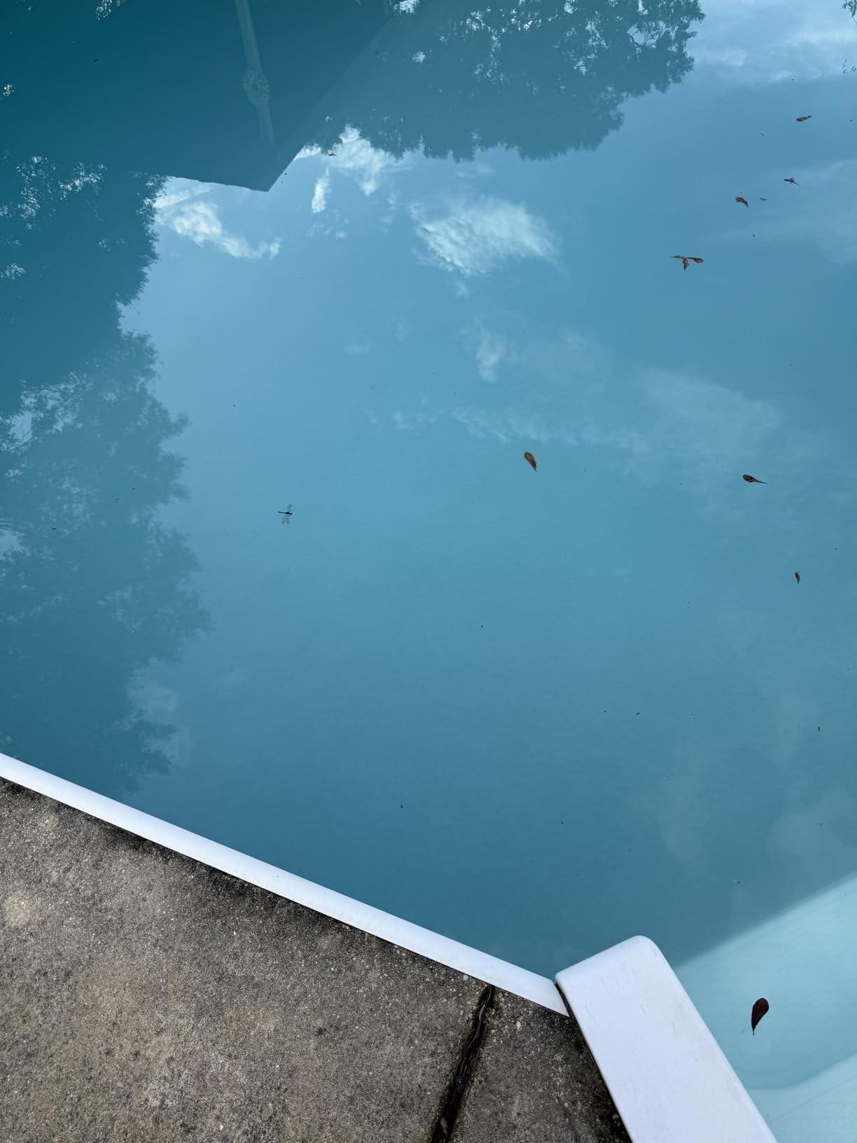 WYBOT C1 Cordless Robotic Pool Vacuum for Inground Pools customer photo 1
