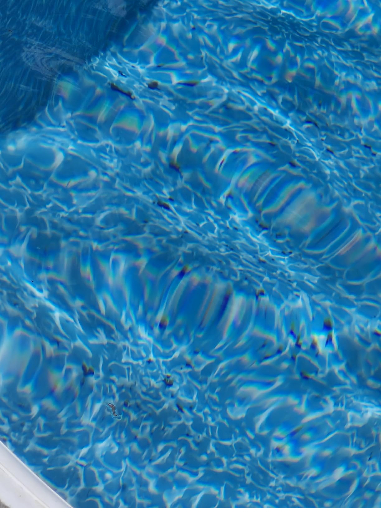 WYBOT C1 Cordless Robotic Pool Vacuum for Inground Pools customer photo 2