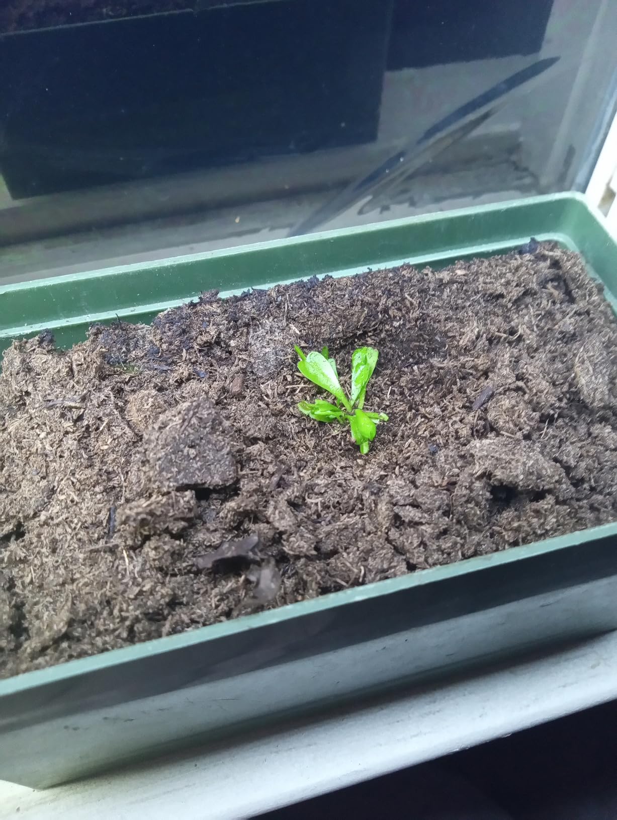 39W Reptile T5 HO UVB 34.5