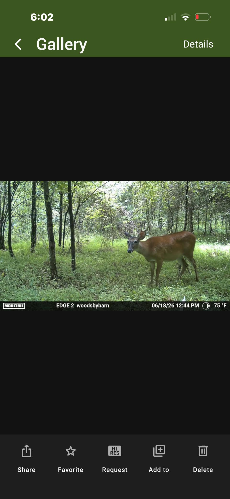 Moultrie Edge 3 Cellular Trail Camera - 2-Pack, 40MP, 0.5s Trigger customer photo 1