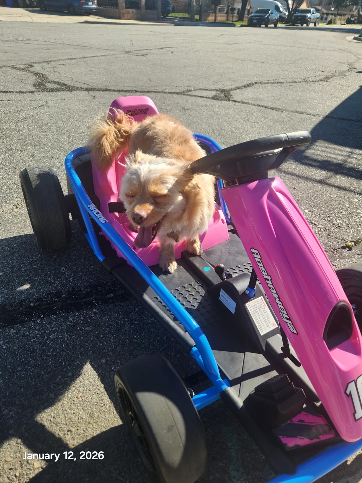 Electric Drift Go Kart for Kids 8-12, 24V Battery,360W Motor, Reinforced Wear-Proof Rear Wheels, 3 Unique Colors, 8.1MPH High Speed,154lbs Capacity, Drift Ride On Car Toy (Pink) customer photo 2