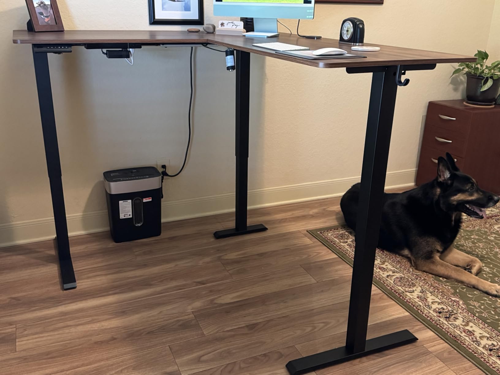 Cubiker Reversible L Shaped Standing Desk - 63 x 55 Inch Electric Adjustable Height Corner Standing Desk, Ergonomic Sit Stand Up Table with 3 Memory Buttons, Splice Board for Home Office, Black Walnut customer photo 1