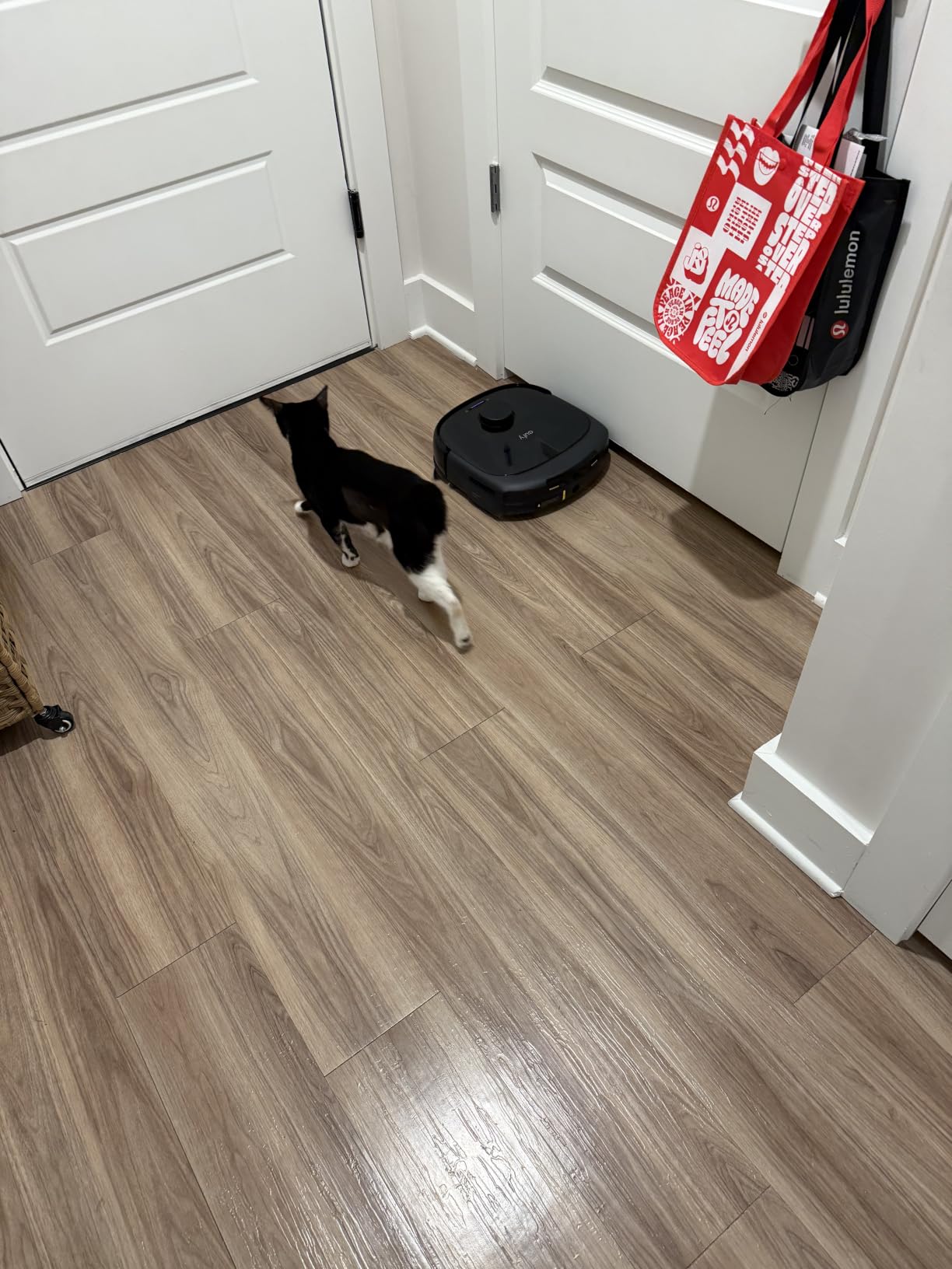 eufy Omni C20 Robot Vacuum and Mop Combo for Hardwood and Carpet, 7,000 Pa customer photo 2