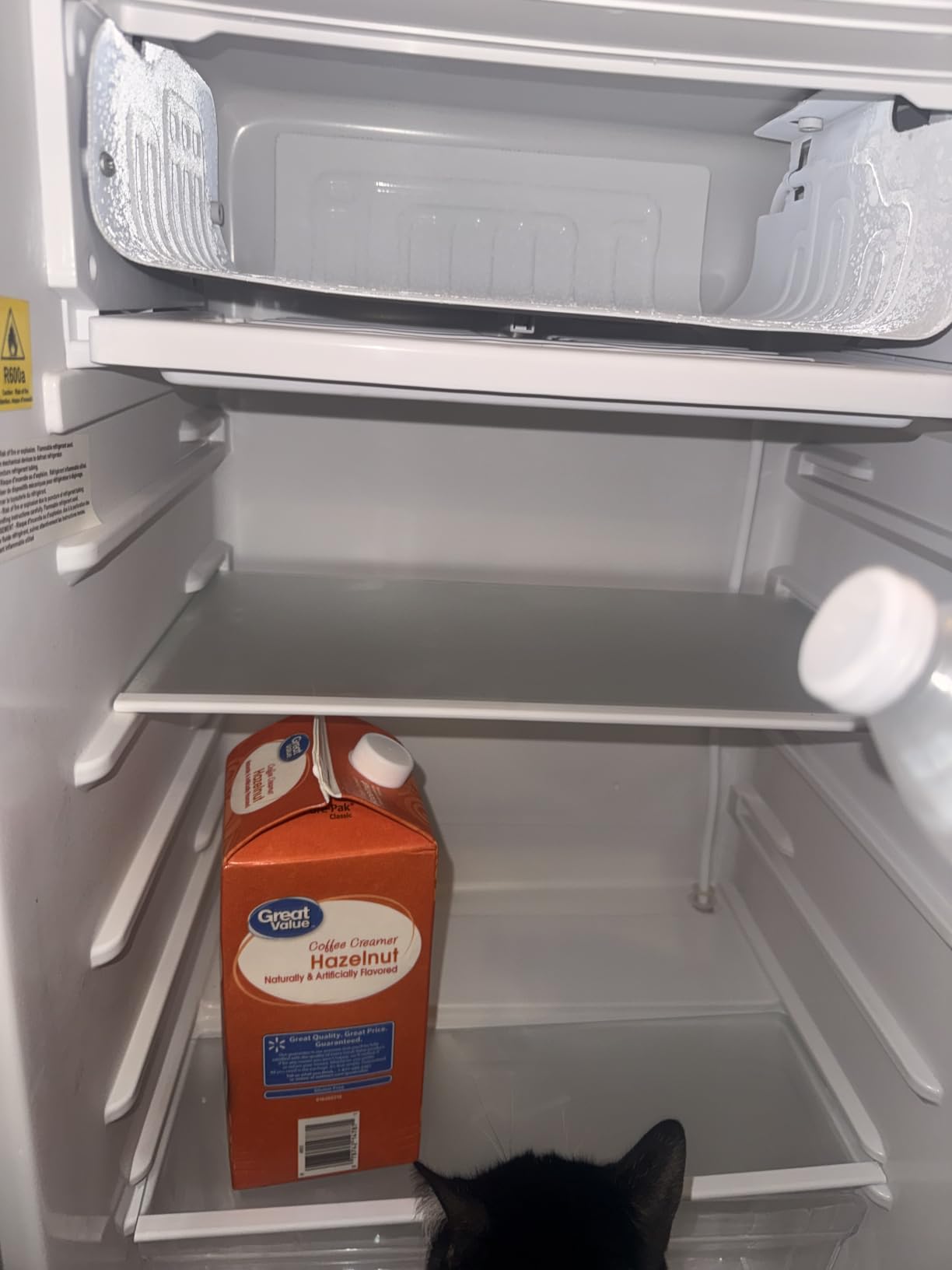 1.6 Cu Ft Mini Fridge with Freezer, Single Door Upright Freezer customer photo 1