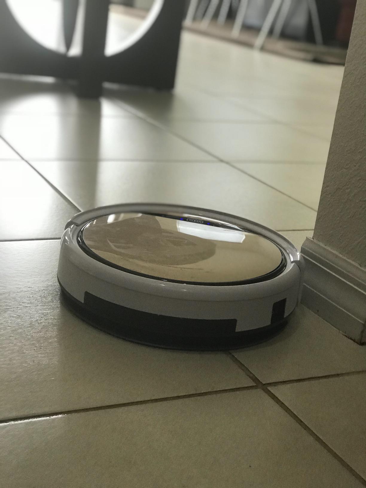 ILIFE V5s Max Robot Vacuum, 4000Pa Max Strong Suction customer photo 1