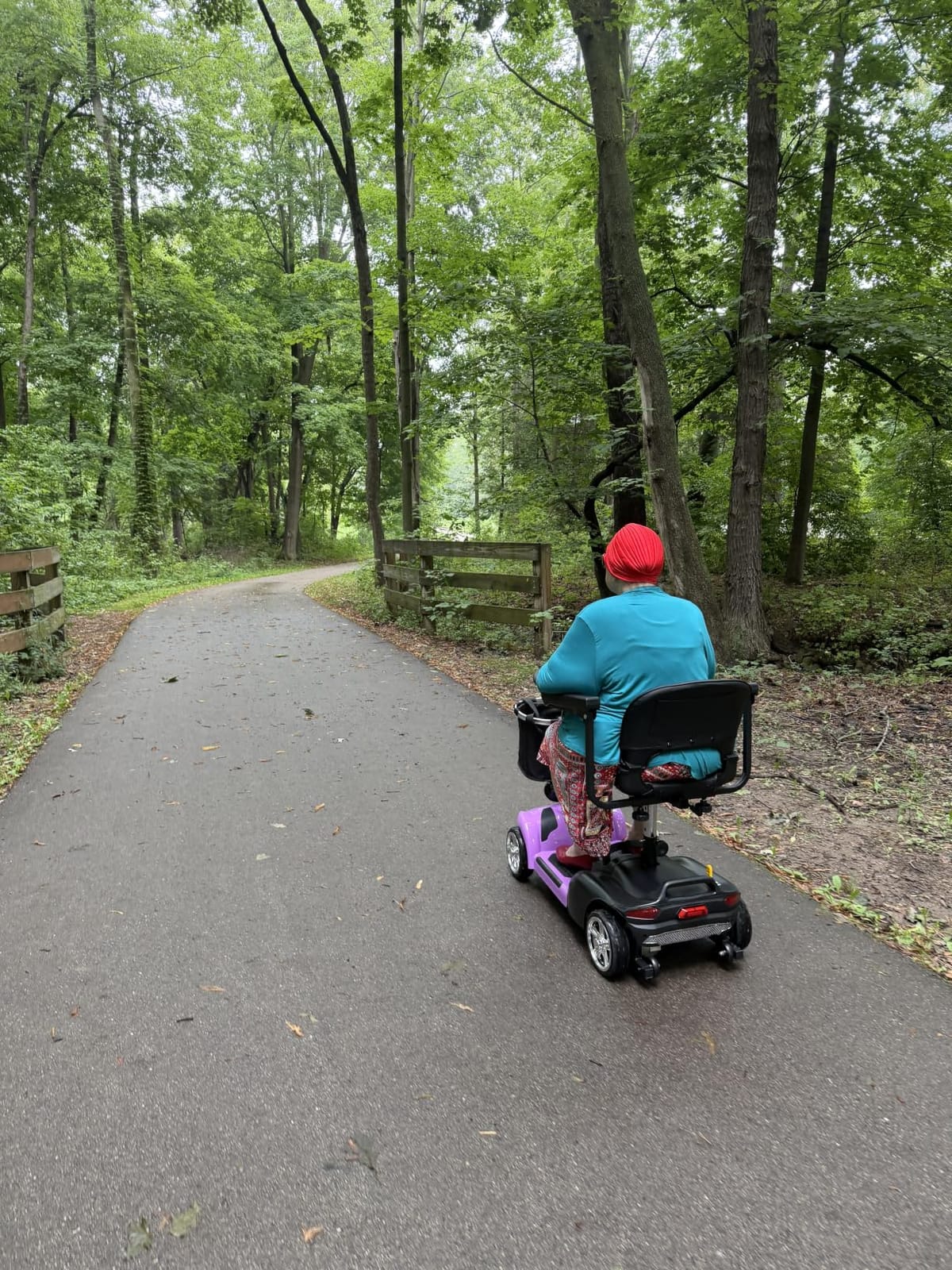 45Miles Mobility Scooter for Seniors/Adults,All Terrain Mobility Scooter customer photo 1