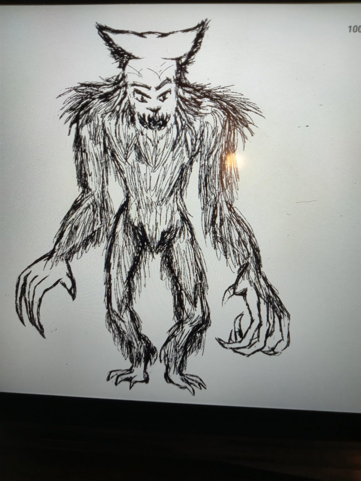 PicassoTab Z13 Standalone EMR Drawing Tablet, Battery-Free 8192 Levels Pen, No Computer Needed, Paper-Like 13.3