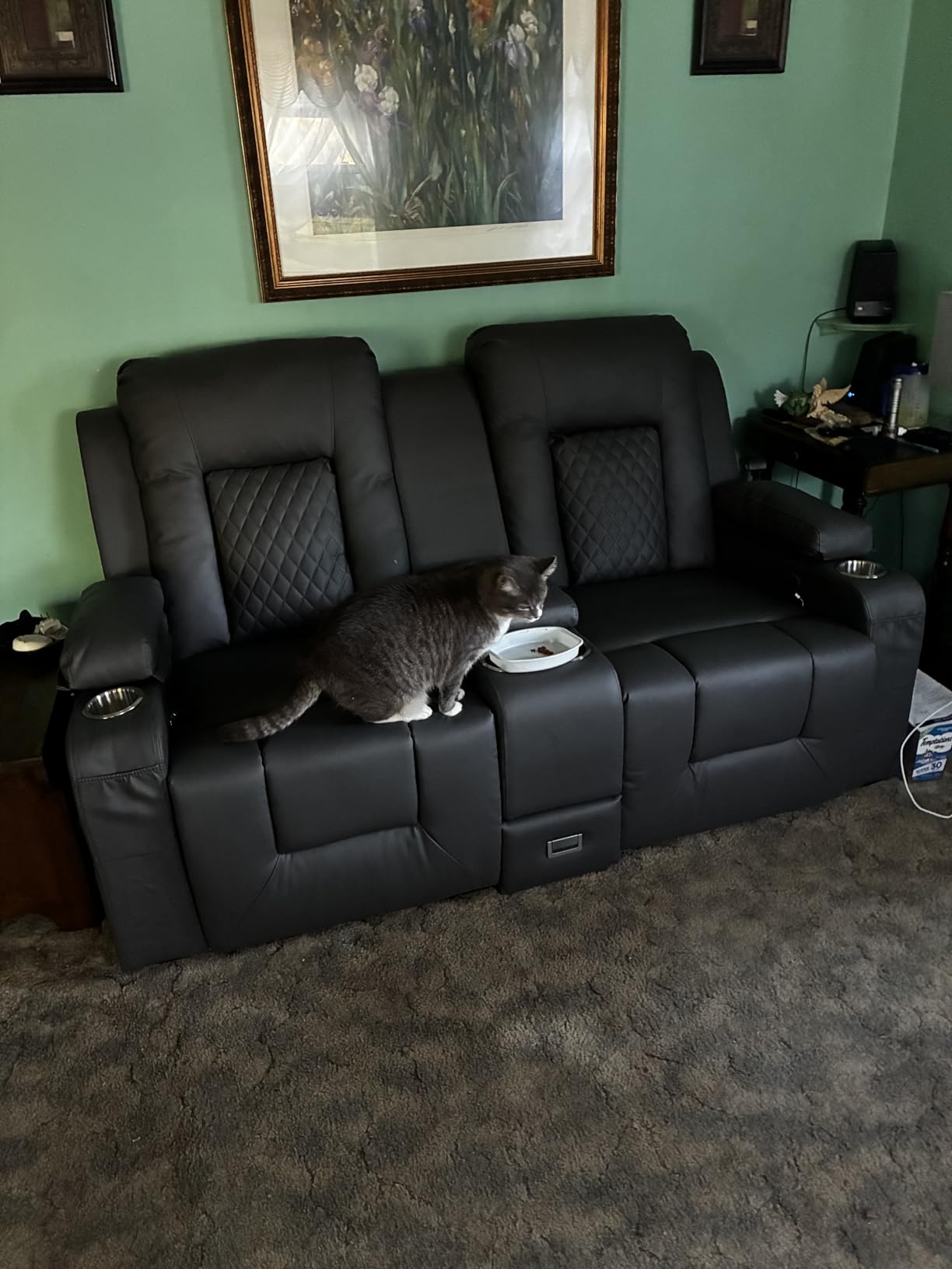 Power Loveseat Recliner Sofa, Electric Reclining Loveseat Couch with Console, Home Theater Seating with Bluetooth Speaker & LED Light, Zero Wall Hugger RV Sofa Furniture with Built-in Outlet & Storage customer photo 1