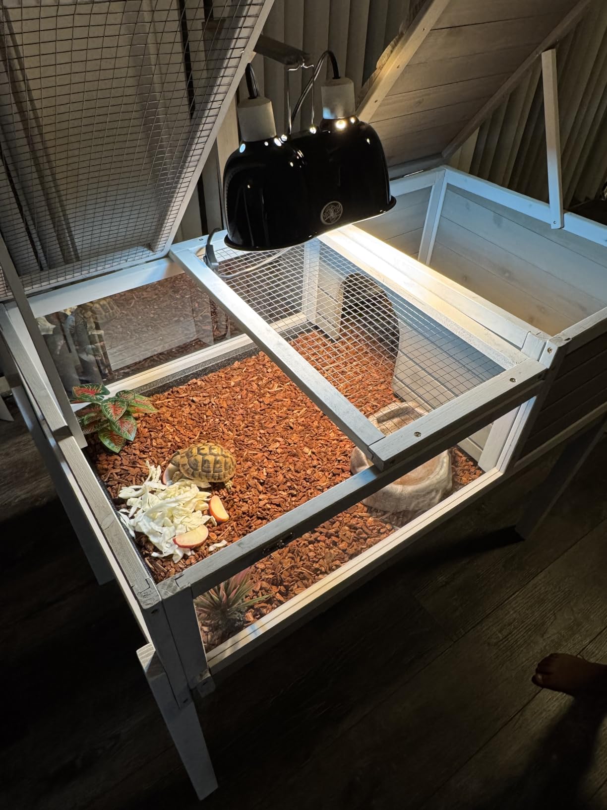 Large Tortoise Enclosure with Lamp Stand, Wooden & Plastic Turtle Habitat customer photo 1