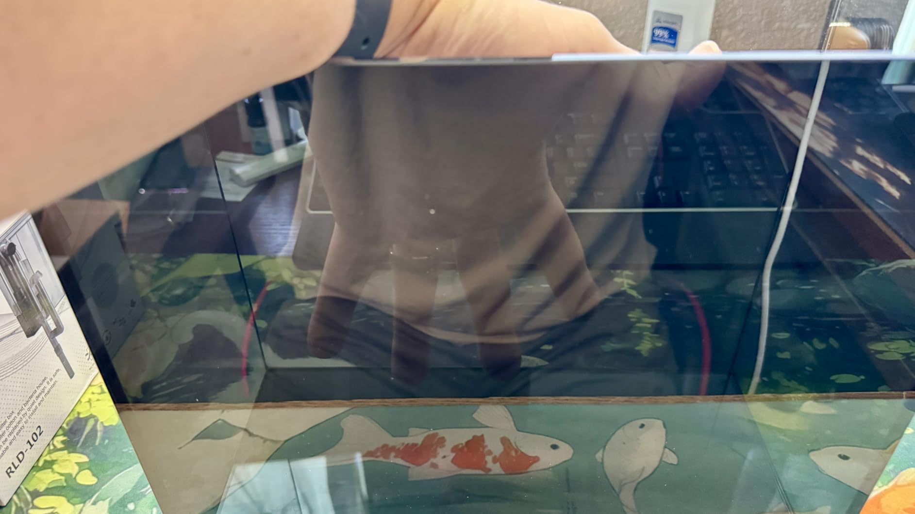 10 Gallon Small Fish Tank Glass Aquarium Complete Kit for Betta Fish customer photo 2