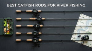 best catfish rods for river fishing