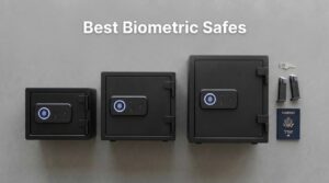 Best Biometric Safes