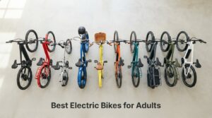 Best Electric Bikes for Adults