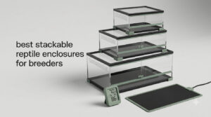 best stackable reptile enclosures for breeders