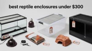 best reptile enclosures under $300